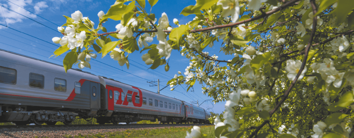 Совет директоров