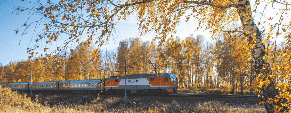 Оценка качества корпоративного управления