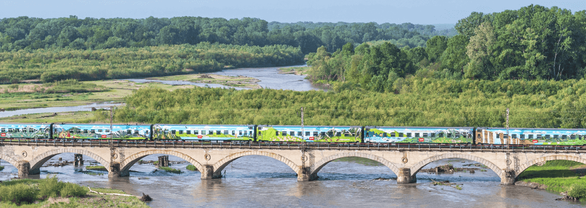 Импортозамещение